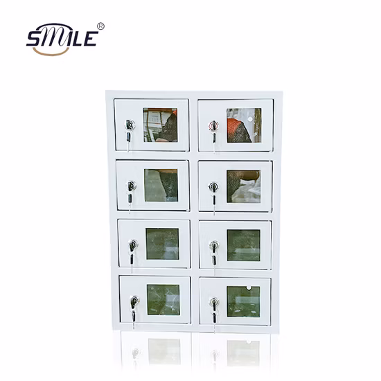 Заводская витрина с общественным шкафчиком для мобильных телефонов и iPad для зарядки